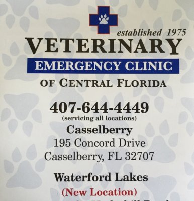 Veterinary Clinic