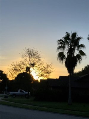 Backlit house