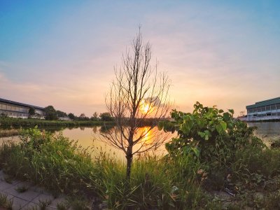 Back light sunset