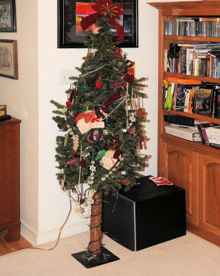  My tree