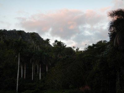 2015¸GBarrett_DSCN1425.JPG