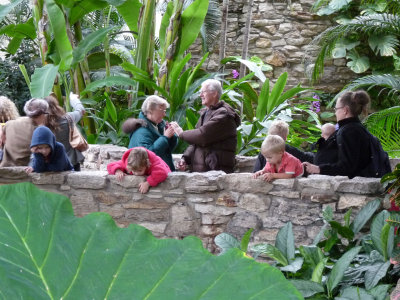 botanical indoor crowd.jpg
