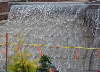 botanical waterfall closeup.jpg