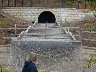 botanicalwaterfall construction.jpg