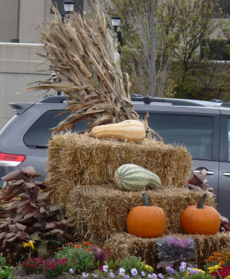 Downtown harvestscape in the wind