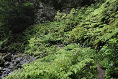 MADEIRA