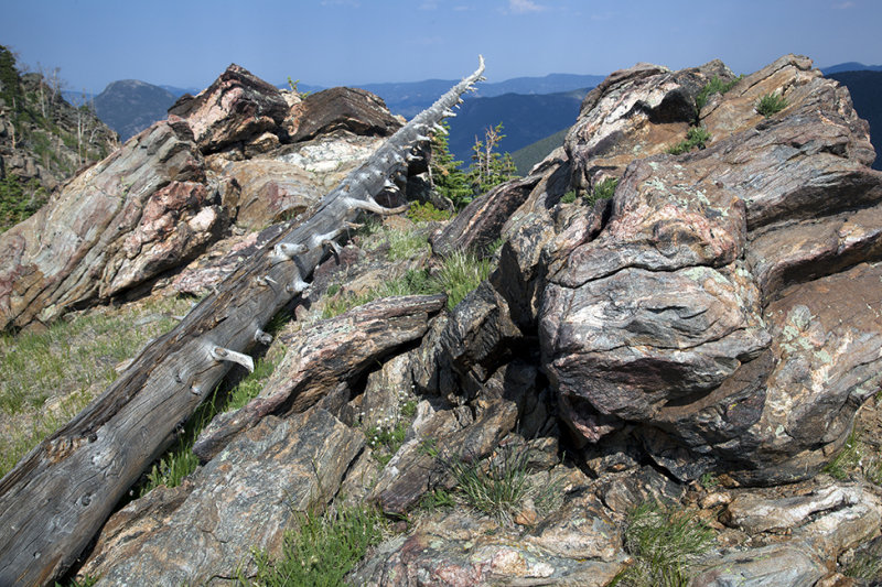 Weathered Rock And Wood-RMNP