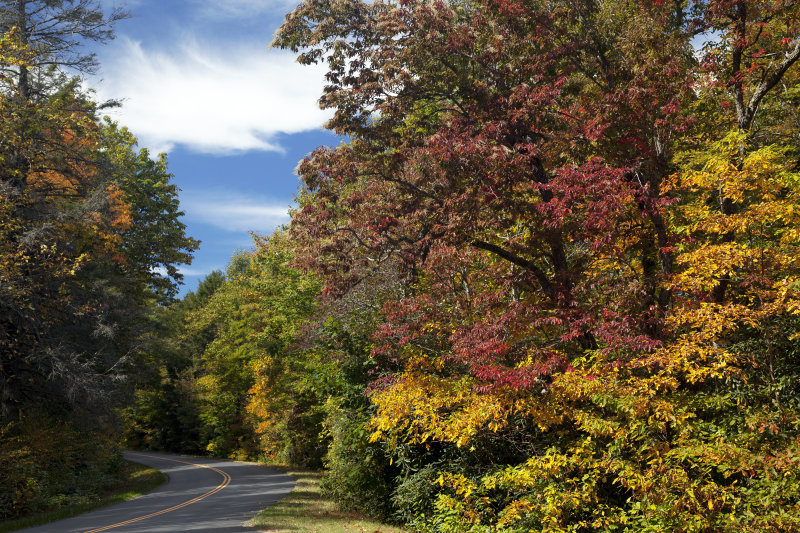 Blue Ridge Parkway In Southwest Virginia