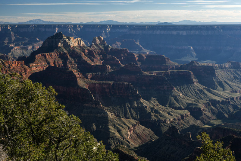 An evening View Of The Grand Canyon From The North Rim