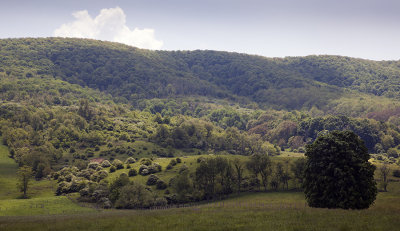 Mid Day Light Along Route 42: Craig County 