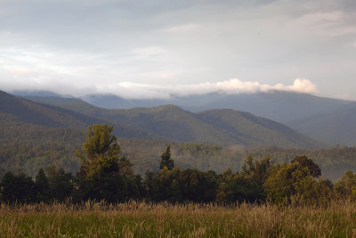 Early Morning In Cades Cove