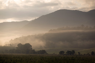 Early Morning Haze In Cades Cove