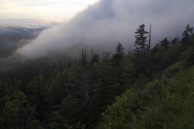 A Moving Cloud Bank Over Clingmans Dome
