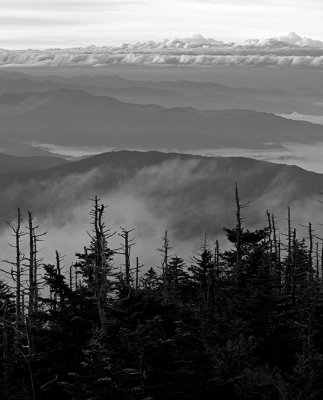 Trees Mountains and Clouds-Smoky Mountain National Park