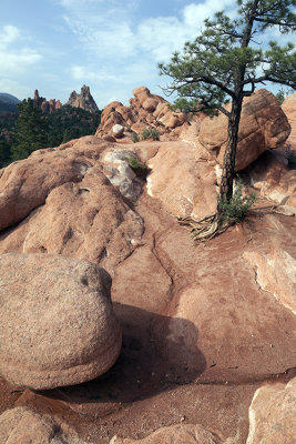 View At The Garden Of The Gods