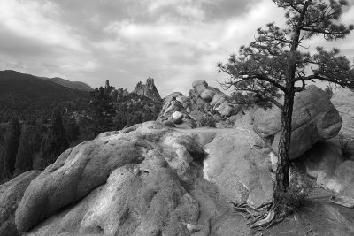 Rock Formations At The Garden Of The Gods- Colorado