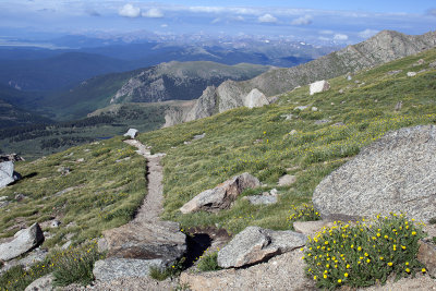 A Trail On Mount Evans
