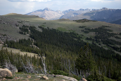 A Trail Ridge Road View