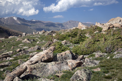 The High Country-RMNP