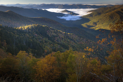 Fall Colors And Ground Fog