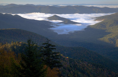 Morning Ground Fog