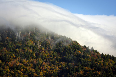 Fog On The Ridge