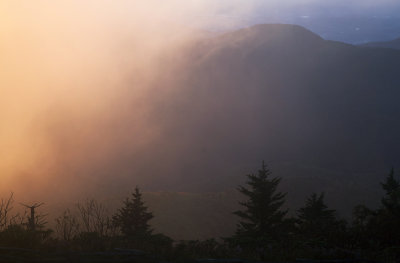Sunlight And Fog On Mt. Mitchell