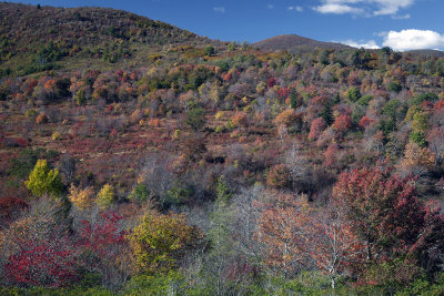 Fall Color At Graveyard Fields