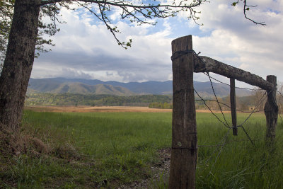 Fence In Cades Cove