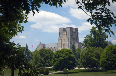 Burruss Frame By Trees 