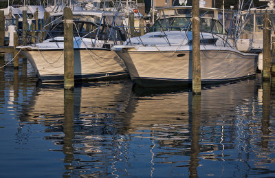 Harbor Reflections 
