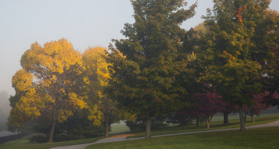 Early Fall Colors And Fog Along North Main Street
