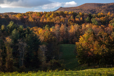 Autumn View From The Blue Ridge Parkway In Virginia