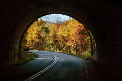 View When Driving Through One Of The Parkway's Tunnels