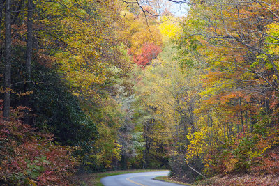 Colors Of The Parkway