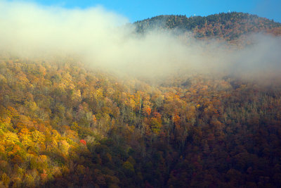 Light, Shadows And Fog