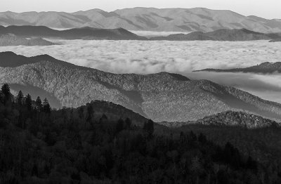 View From The Blue Ridge Parkway- An Ocean Of Clouds-North Carolina