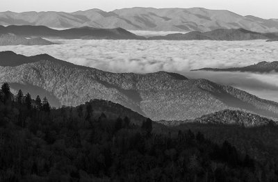 View From The Blue Ridge Parkway- An Ocean Of Clouds-North Carolina