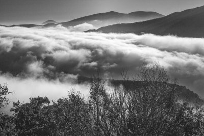 Wind Blown Clouds -North Carolina