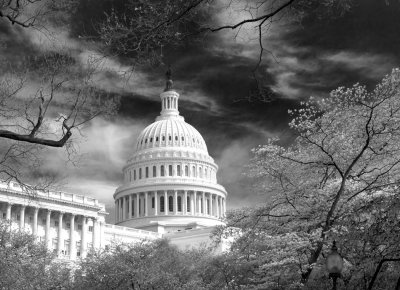 The Capitol Building-Washington DC