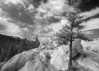 Garden Of The Gods-Colorado