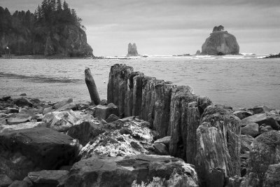 Shoreline And Harbor's Edge At The Quileute Native American Reservation at La Push, Washington State