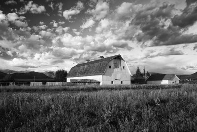 Farm And Ranch-Near Alamosa, Colorado