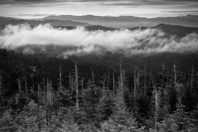 View Of Smoky Mountain National Park From Clingsman Dome, Tennessee