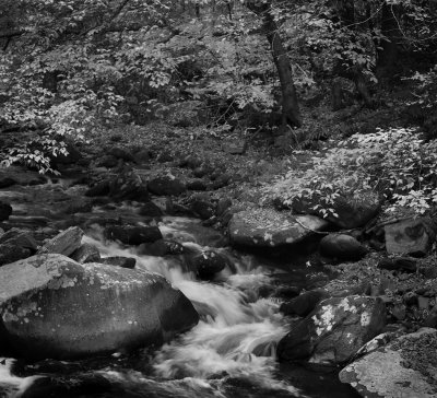 Oconaluftee River In The Smoky Mountains, North Carolina