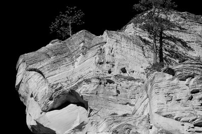 Looking Up At A Rock Cliff, Zion National Park, Utah