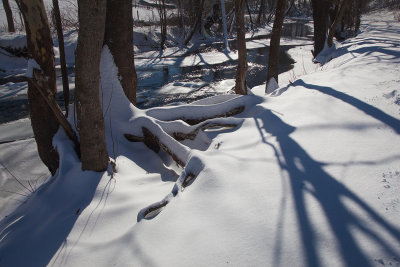 Light, Snow And Shadows 