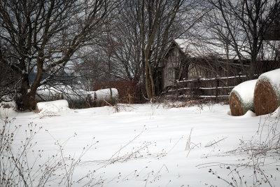 Hay Bales And Old Shed