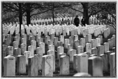 Hallowed Ground- Formations Of Stone, Arlington National Cemetery, Arlington, Virginia