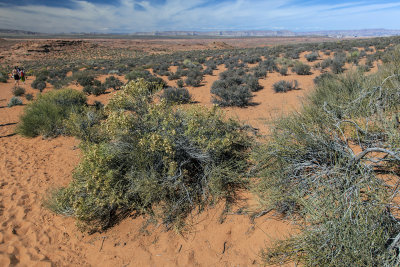 High Desert Surrounding Horseshoe Bend 